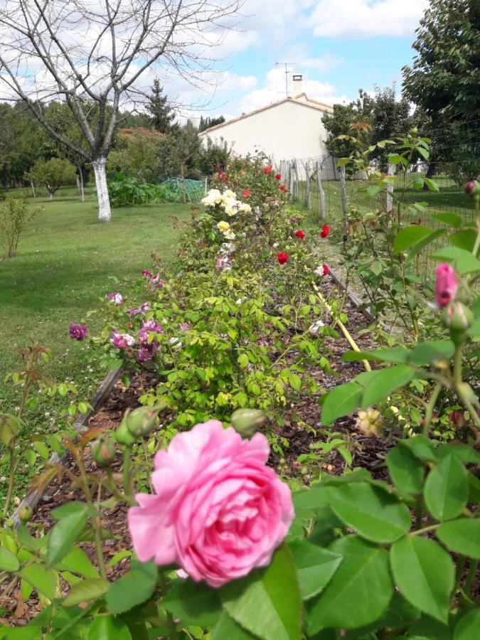Logis De Lange Studio 2 P Saint-Hilaire-la-Palud Екстериор снимка