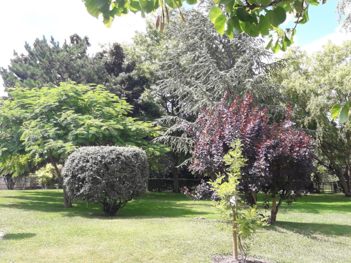 Logis De Lange Studio 2 P Saint-Hilaire-la-Palud Екстериор снимка